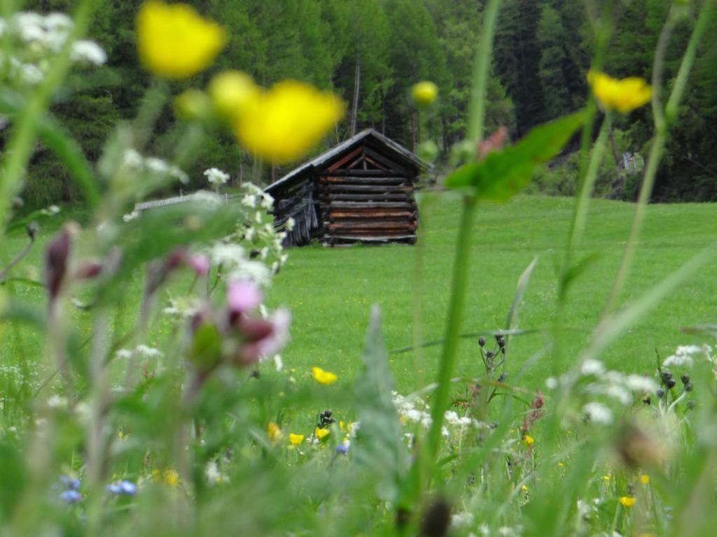 Hotel Silvretta Serfaus Exterior photo